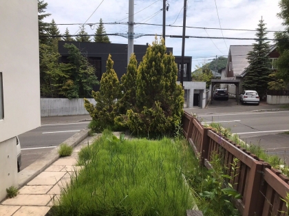 札幌市内　除草作業