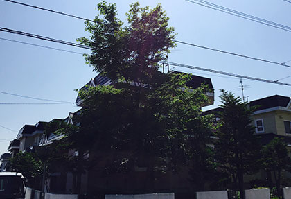 case1